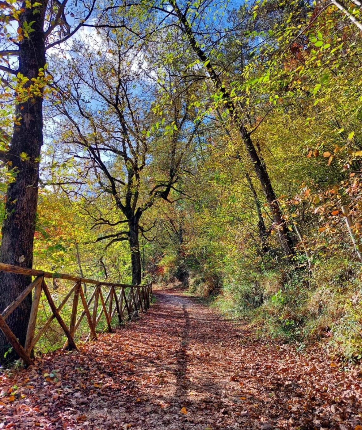 Locanda Della Pieve Pievebovigliana المظهر الخارجي الصورة